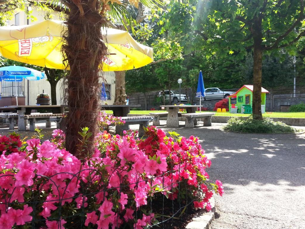 Osteria Belvedere Losone Dış mekan fotoğraf
